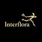 Interflora Discount Codes February 2025