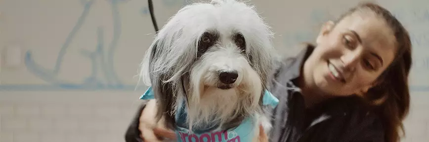 Enjoy 10% Off Selected Pet Accessories with Pets at Home Discount Code