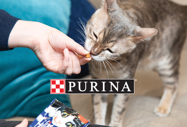 Purina Valentine's Day Promo Code: 20% Off + a Free Treat