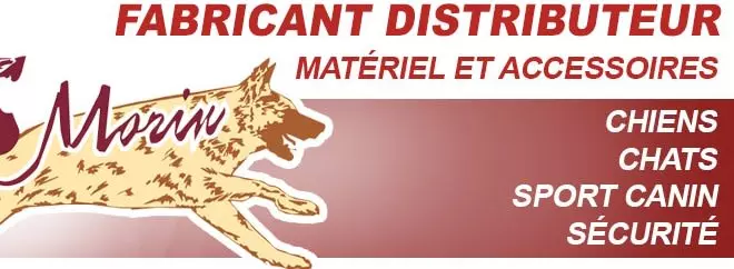 morinFR