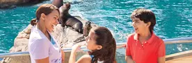 SeaWorld - Up to 40% Off