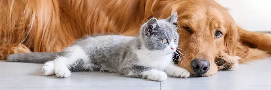 zooplus - Kod rabatowy