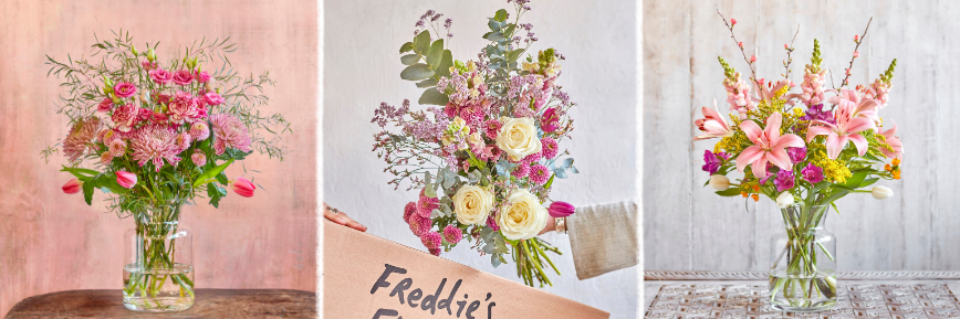 Freddie's Flowers Rabatt: Blumen verschenken - Lieferung am nächsten Tag!